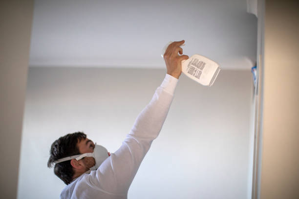 Best Mold Removal Company Near Me  in Northwest Harborcreek, PA